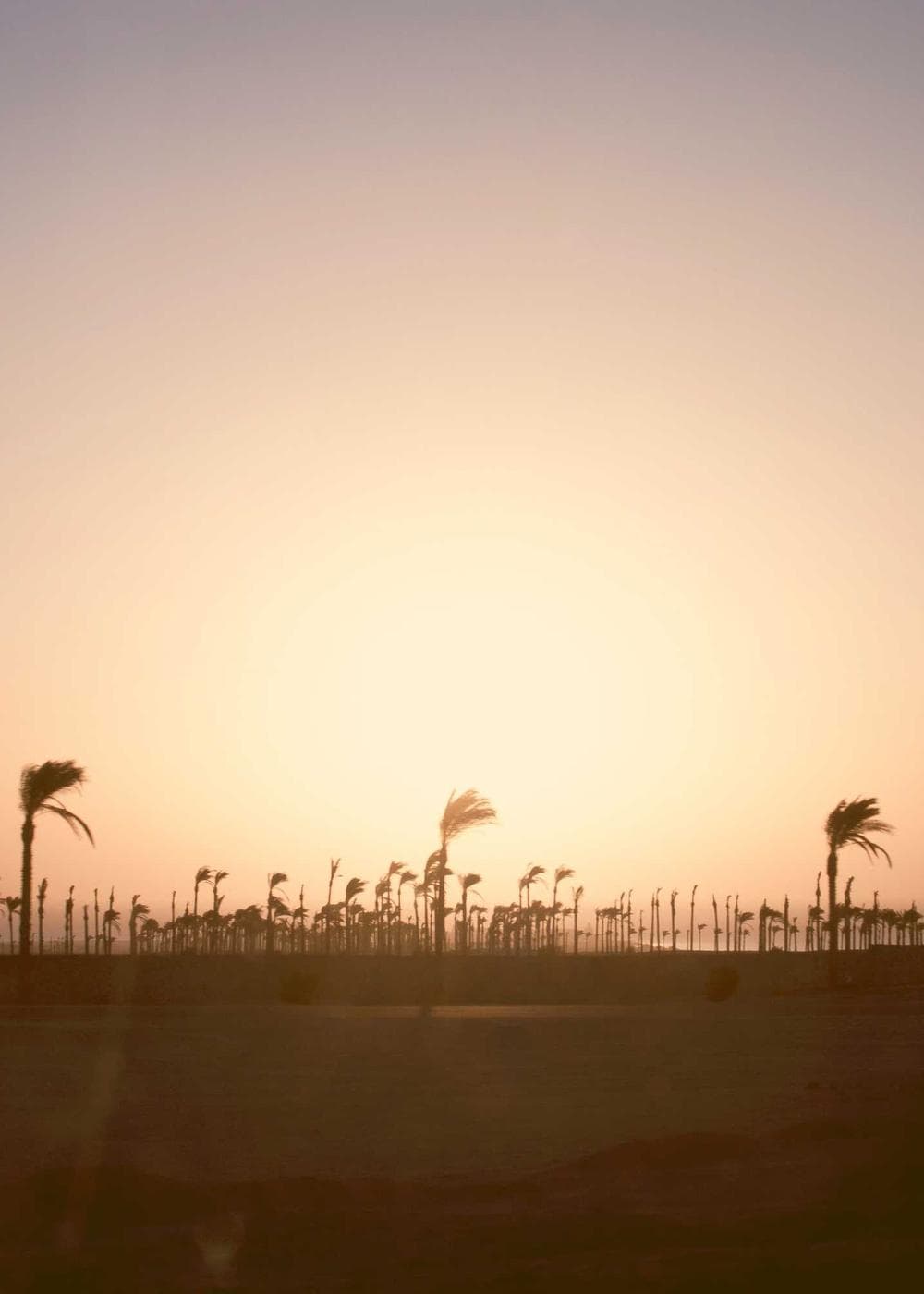 Sample Gallery 3 – image 7