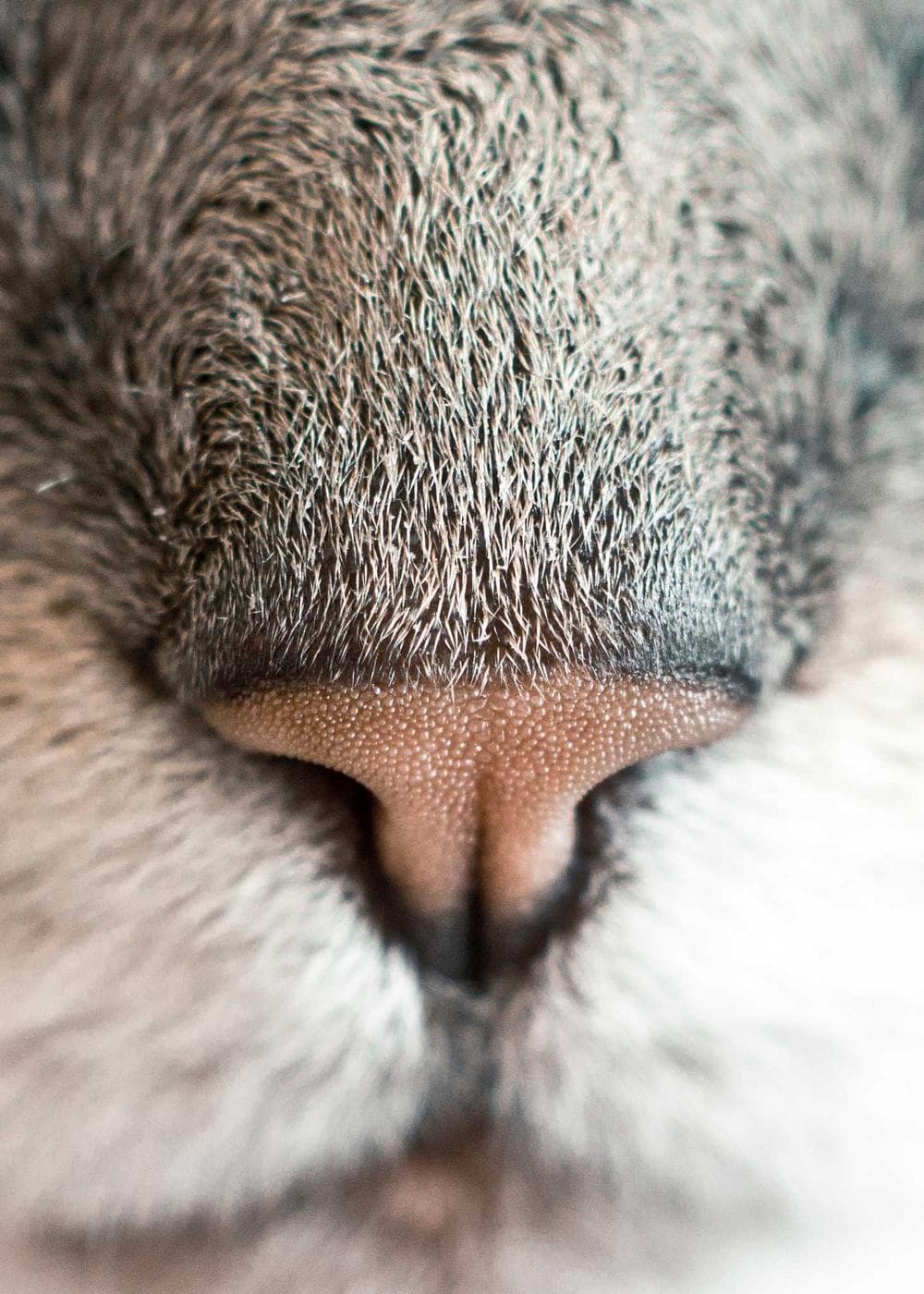 Sample Gallery 3 – image 8