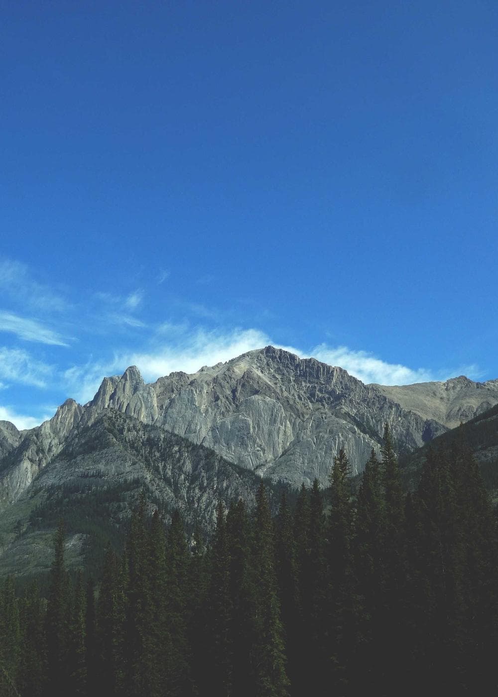 Sample Gallery 4 – image 6