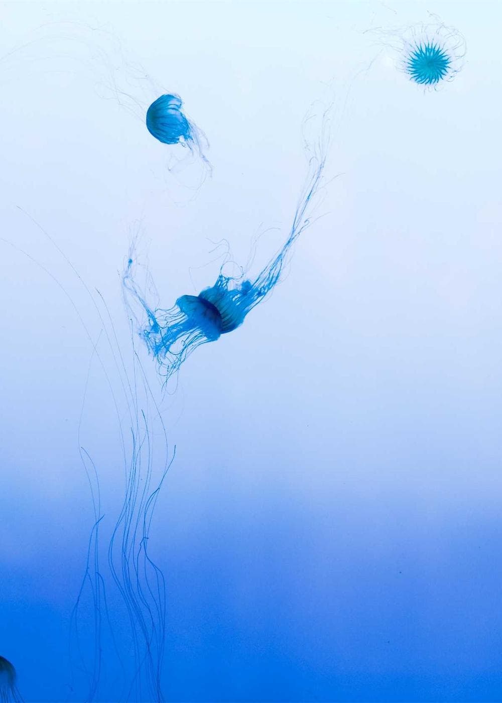 Sample Gallery 4 – image 8