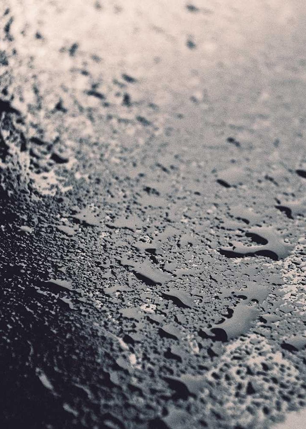 Sample Gallery 5 – image 3