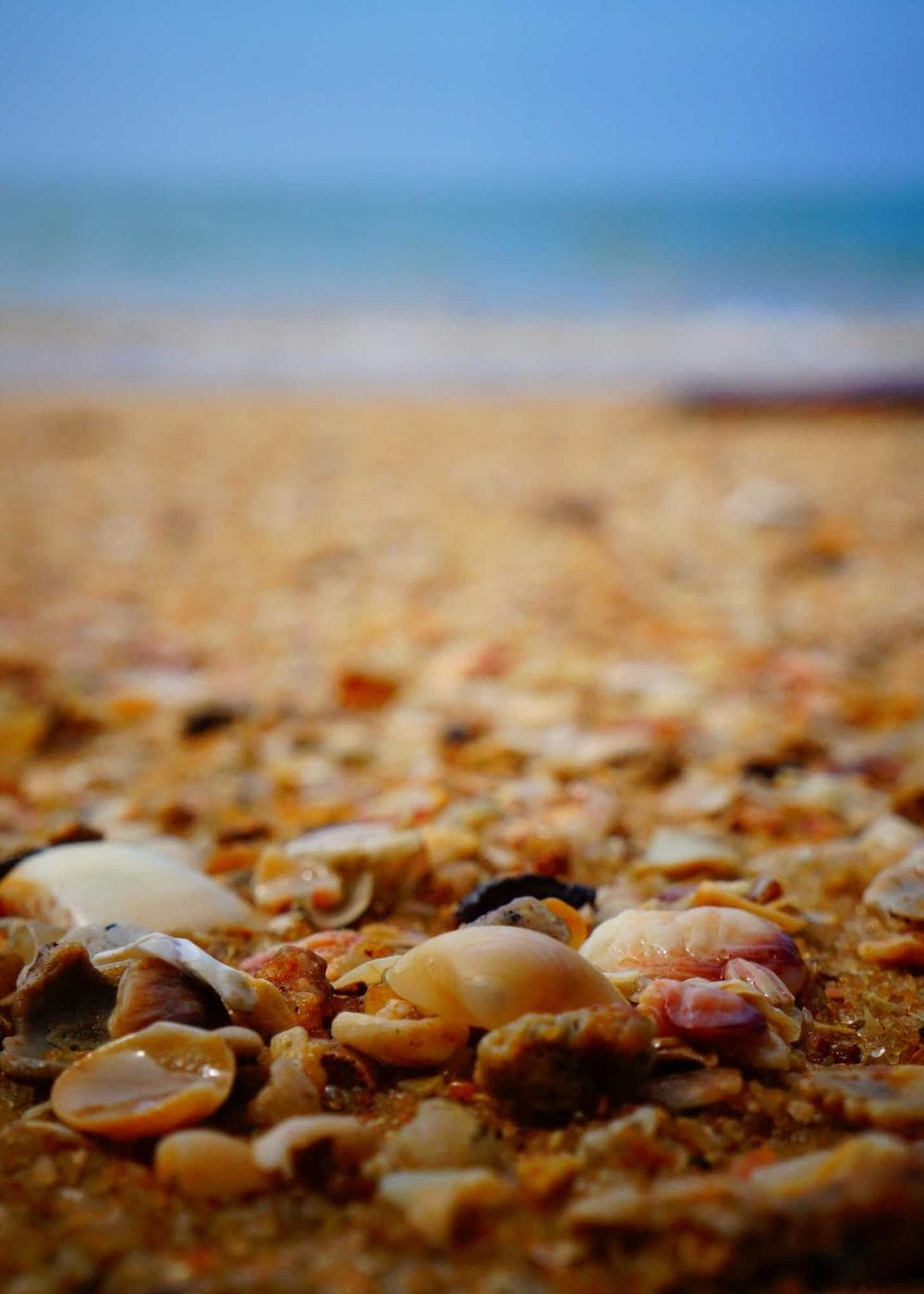 Sample Gallery 5 – image 6