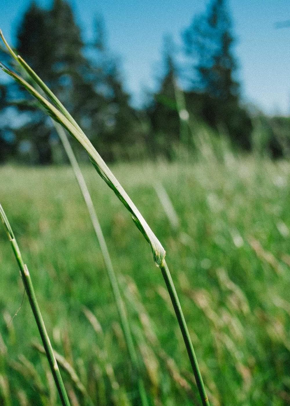 Sample Gallery 6 – image 7