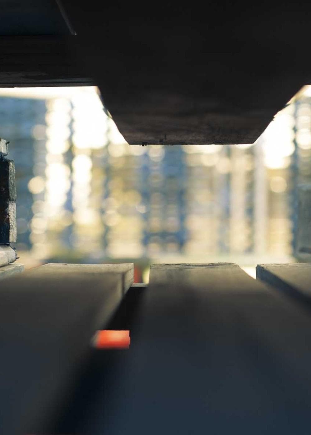 Sample Gallery 6 – image 8