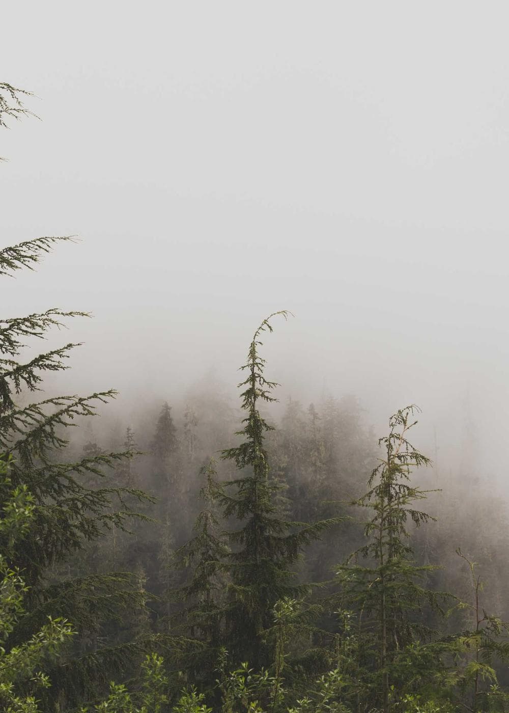 Sample Gallery 7 – image 1