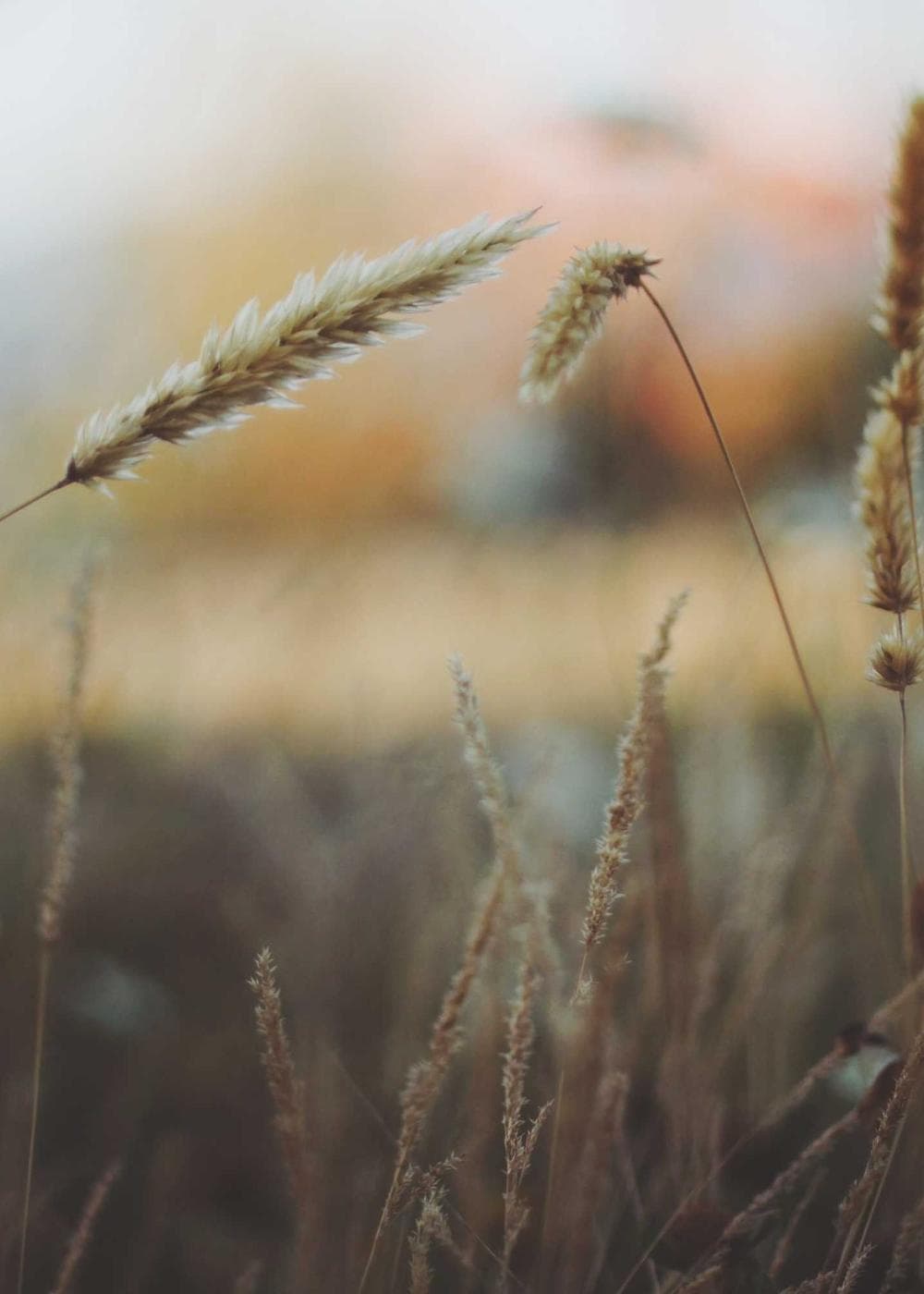 Sample Gallery 7 – image 3