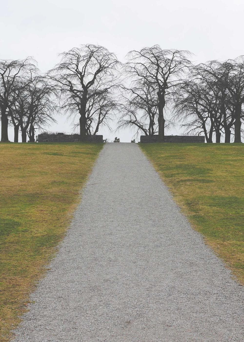 Sample Gallery 7 – image 6