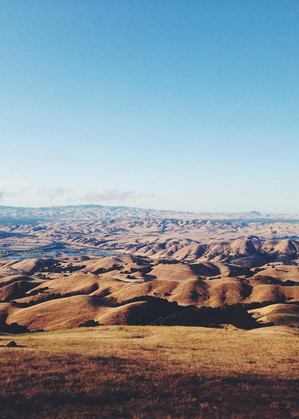 Sample Gallery 8 – image 2