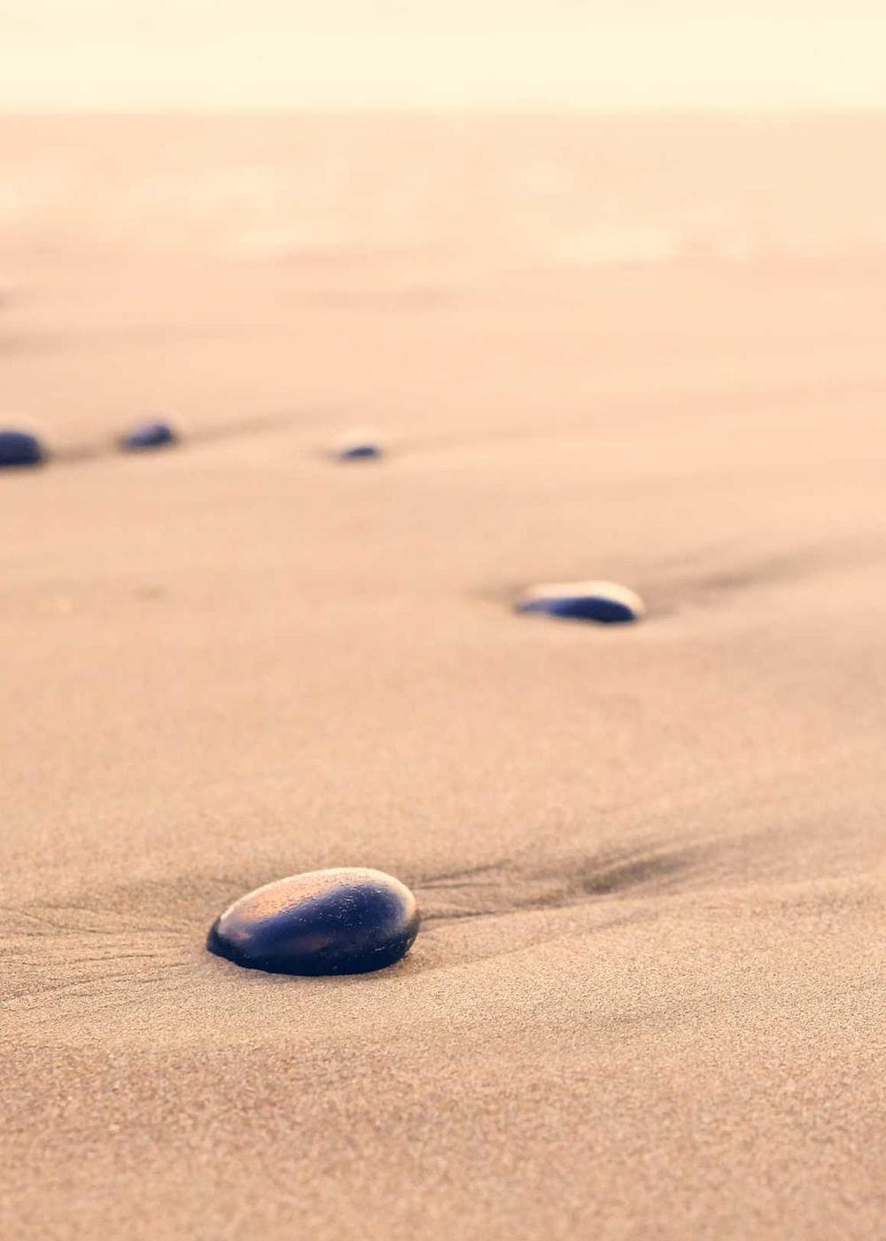 Sample Gallery 8 – image 3