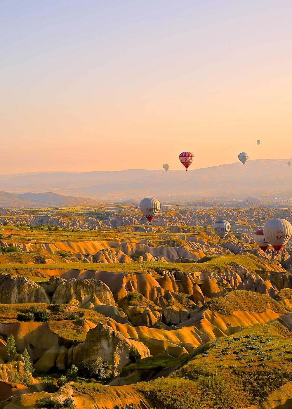 Sample Gallery 8 – image 6