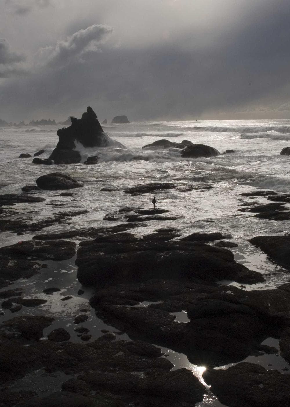 Sample Gallery 9 – image 3