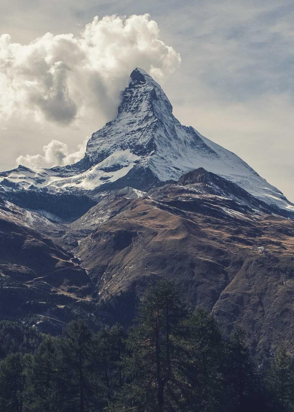 Sample Gallery 9 – image 5