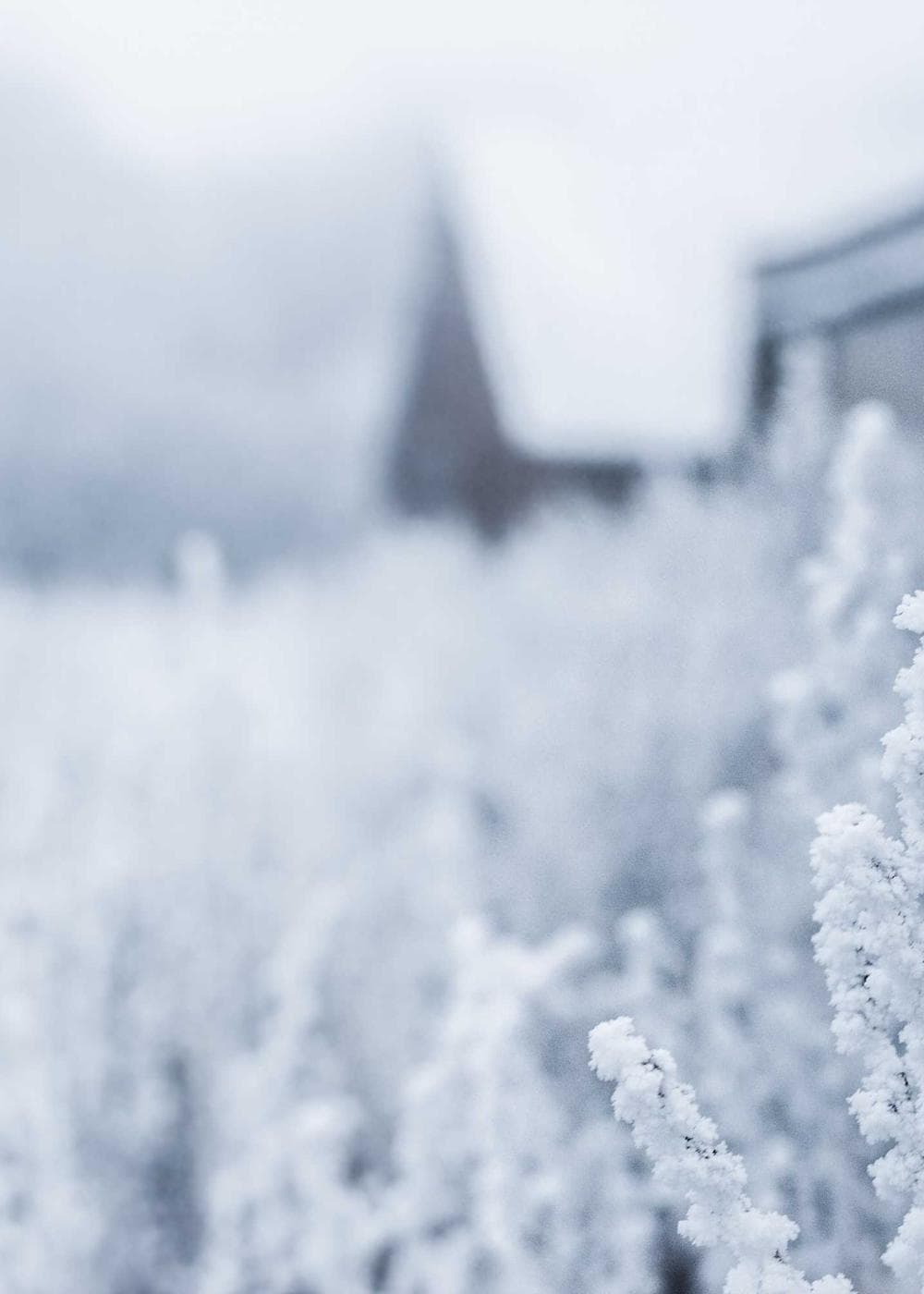 Sample Gallery 9 – image 7